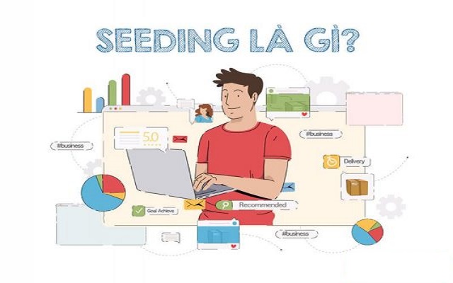 Seeding-la-gi